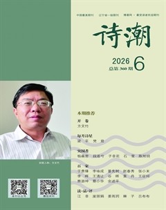 诗潮