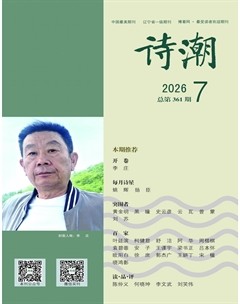 诗潮