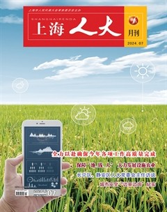 上海人大月刊