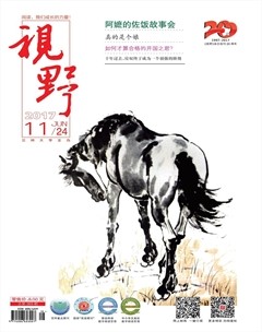 2017年第11期
