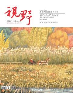视野