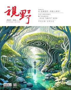 视野