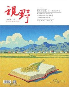 视野