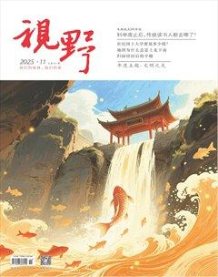 视野