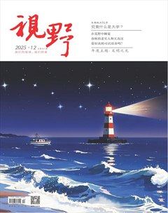 視野