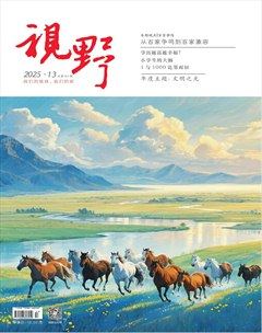 视野