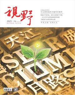 视野