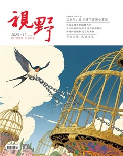 视野