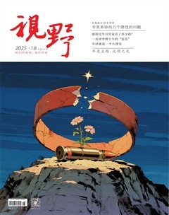 视野