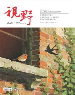 视野