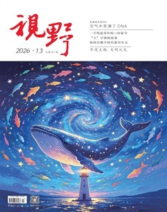 视野