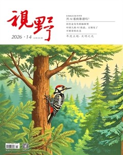 時代提物 仙人根付 天然素材 在銘光之【人間万事塞翁が馬】高7.8cm 重19g 视野2026年第14期-龙源期刊网-华文世界最大的手机期刊杂志超市