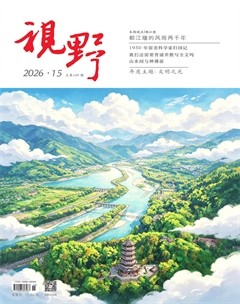 视野