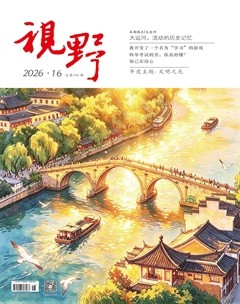 视野