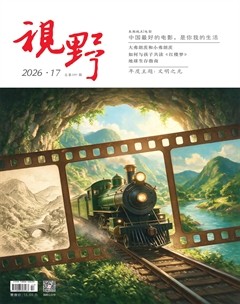 视野