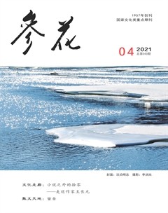 参花（上）杂志封面