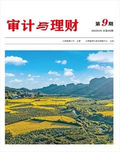 审计与理财