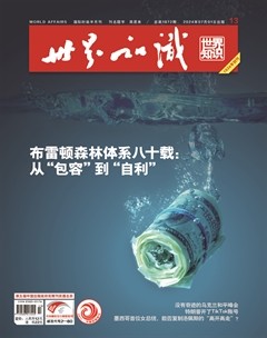 世界知识