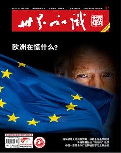 世界知识