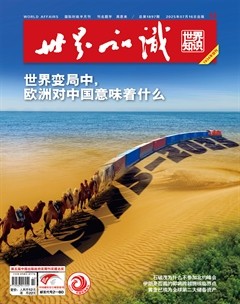 世界知识