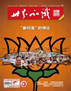 世界知识
