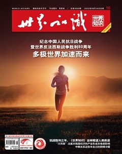 世界知识
