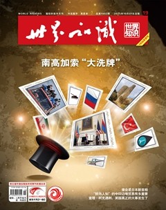 世界知识