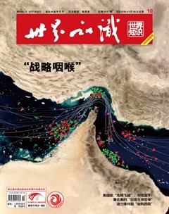 世界知识