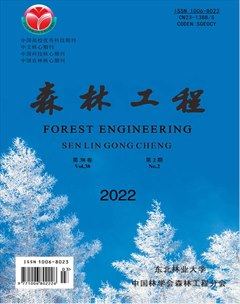 森林工程