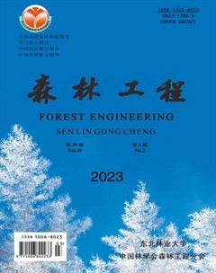 森林工程