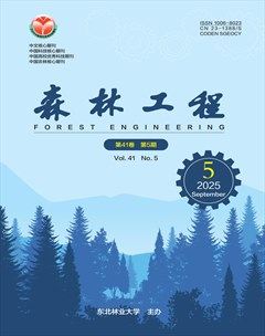 森林工程