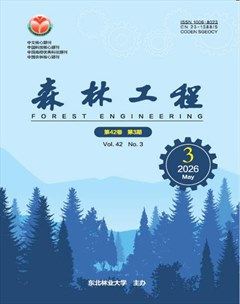 森林工程