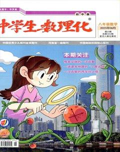 中学生数理化·八年级数学人教版