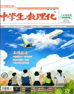 中學(xué)生數(shù)理化·八年級物理人教版