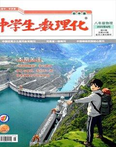 中学生数理化·八年级物理人教版
