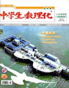 中学生数理化·八年级物理