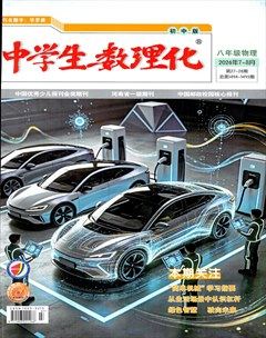 中学生数理化·八年级物理