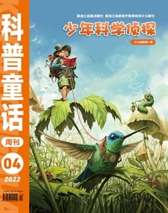 科普童话·少年科学侦探