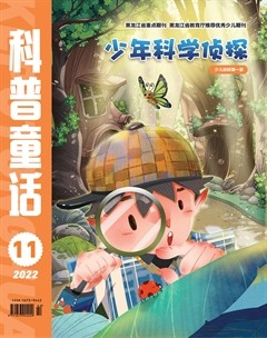 科普童话·少年科学侦探