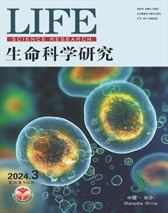 生命科學研究