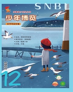 少年博览·小学高年级