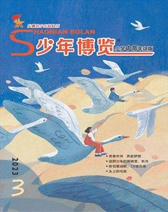 少年博覽·小學(xué)高年級(jí)