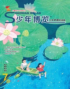 少年博覽·小學高年級