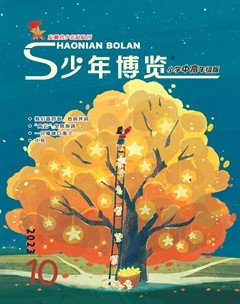 少年博览·小学高年级
