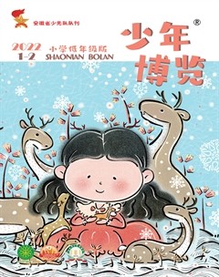 少年博覽·小學(xué)低年級