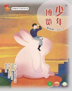 少年博览·初中版