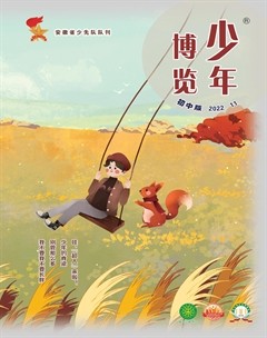 少年博览·初中版