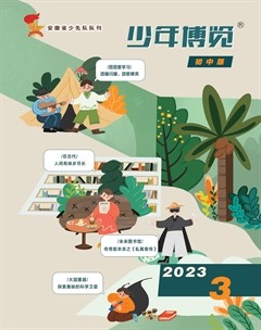 少年博览·初中版