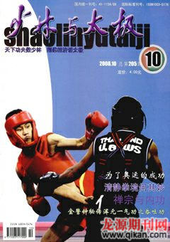 2008年第10期