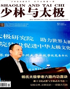 少林与太极